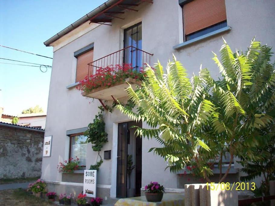 Cozy Rooms In Nature, Perfect For Relax Ilirska Bistrica Εξωτερικό φωτογραφία