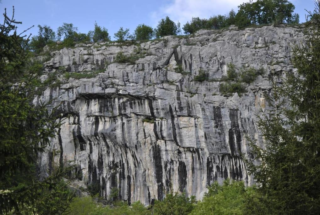Cozy Rooms In Nature, Perfect For Relax Ilirska Bistrica Εξωτερικό φωτογραφία