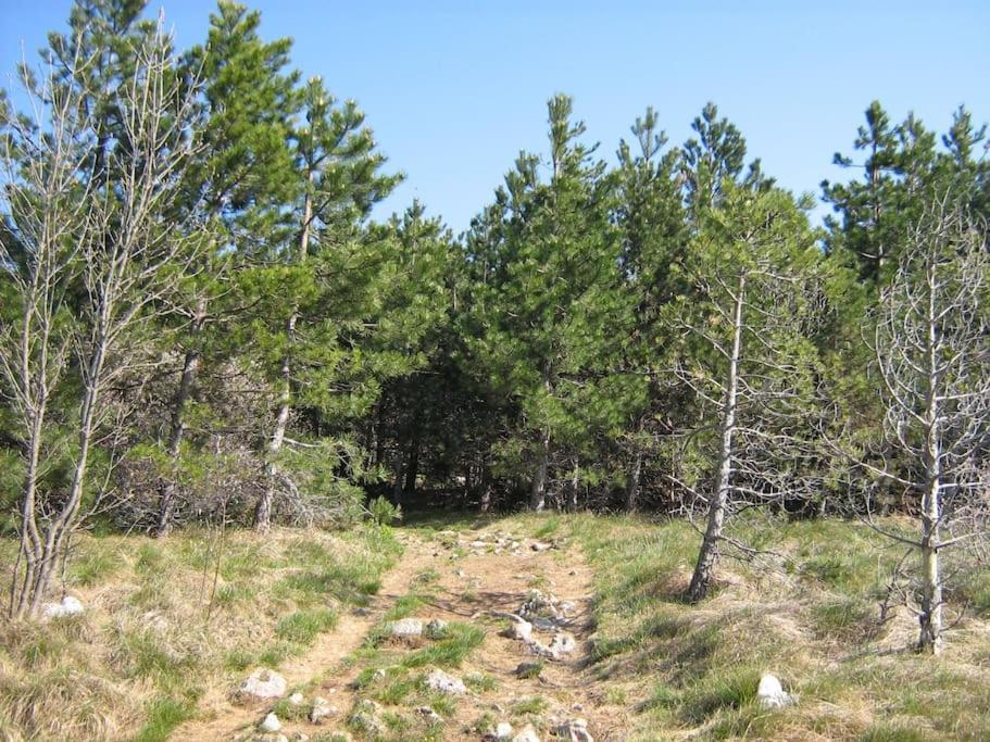 Cozy Rooms In Nature, Perfect For Relax Ilirska Bistrica Εξωτερικό φωτογραφία