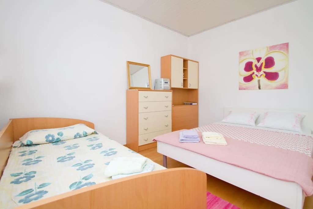 Cozy Rooms In Nature, Perfect For Relax Ilirska Bistrica Εξωτερικό φωτογραφία