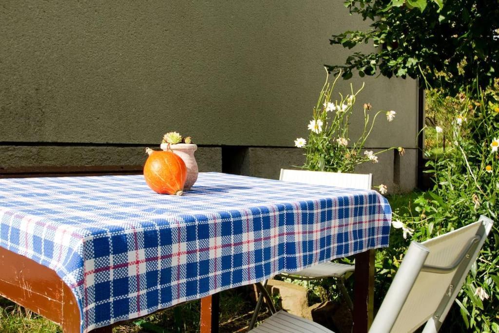 Cozy Rooms In Nature, Perfect For Relax Ilirska Bistrica Εξωτερικό φωτογραφία