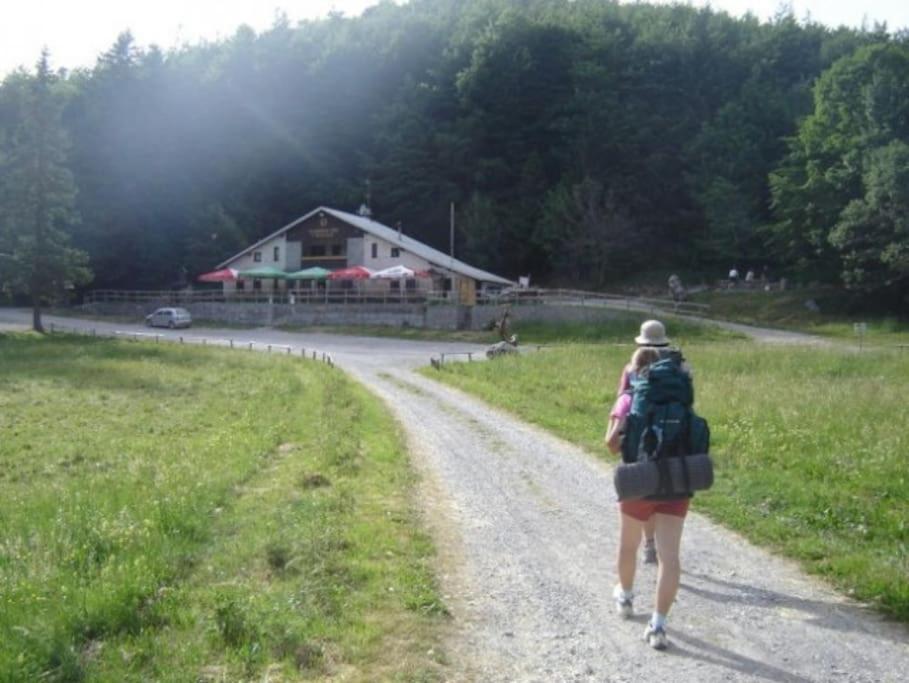 Cozy Rooms In Nature, Perfect For Relax Ilirska Bistrica Εξωτερικό φωτογραφία