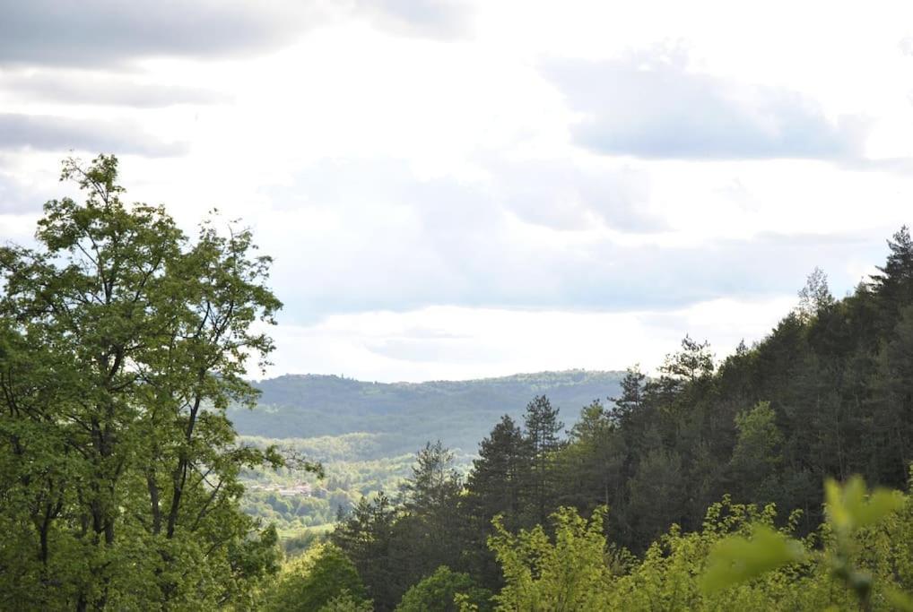 Cozy Rooms In Nature, Perfect For Relax Ilirska Bistrica Εξωτερικό φωτογραφία